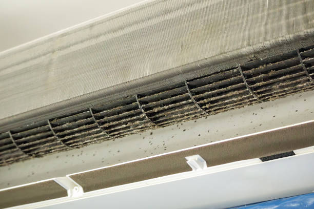Best Commercial Air Duct Cleaning  in Green Valley, SD